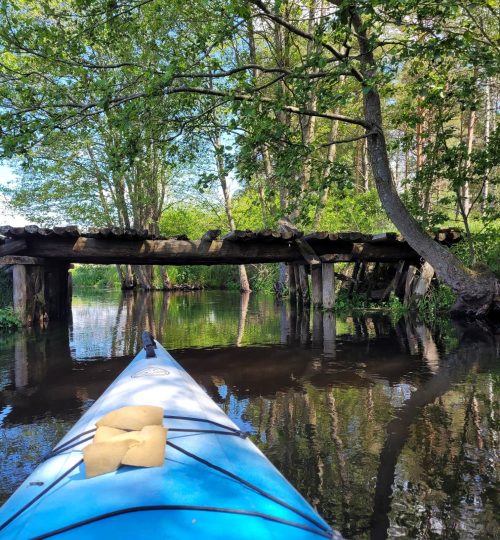 291720969_406081431480292_3301906988359857107_n